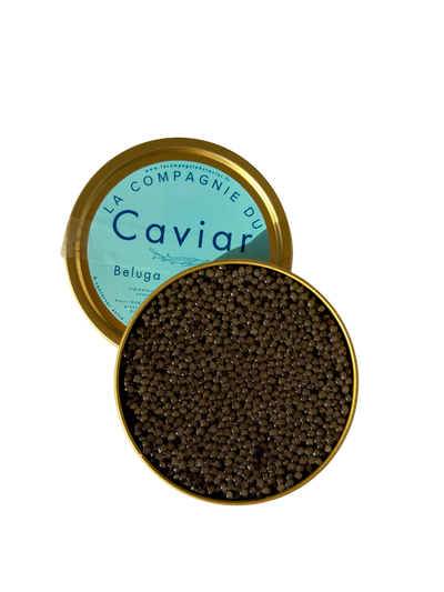 Caviar Beluga